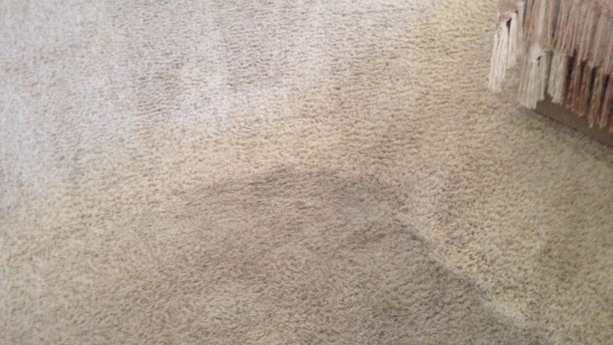 Irvine carpet cleaning