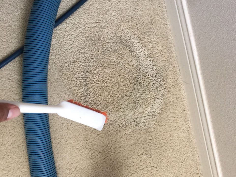 do it yourself carpet cleaning