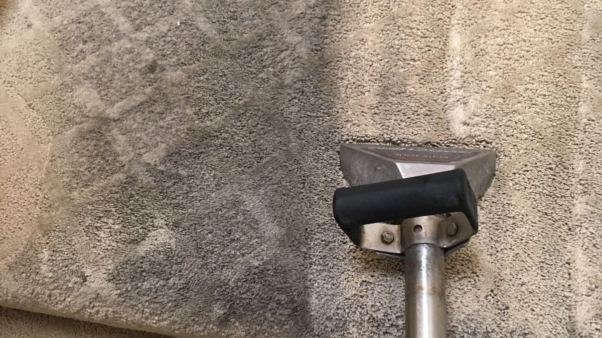Dr. Carpet