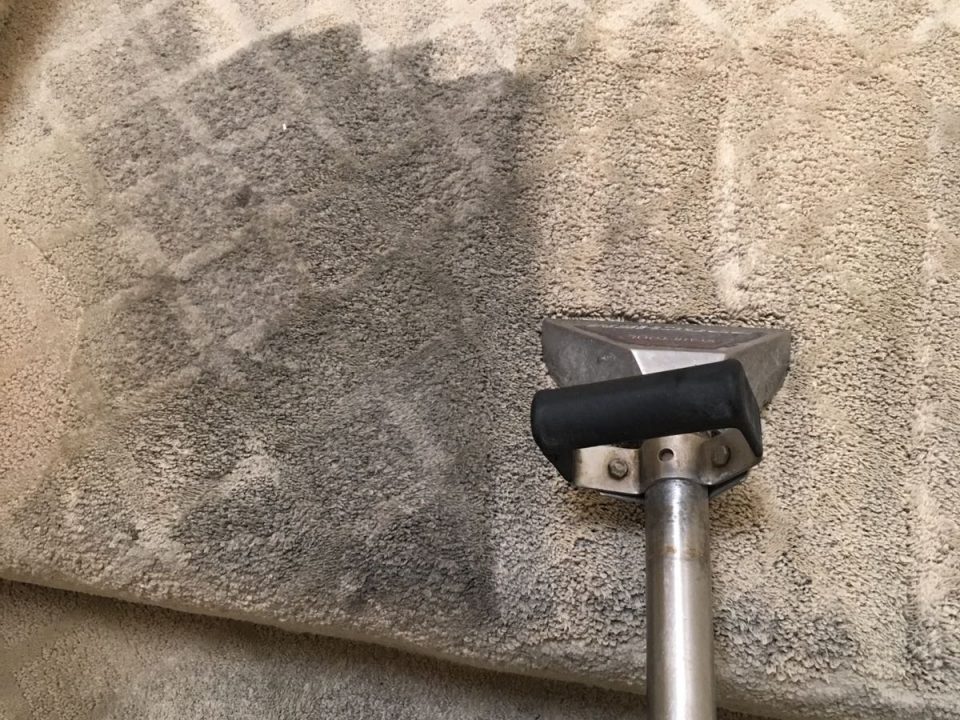 Dr. Carpet