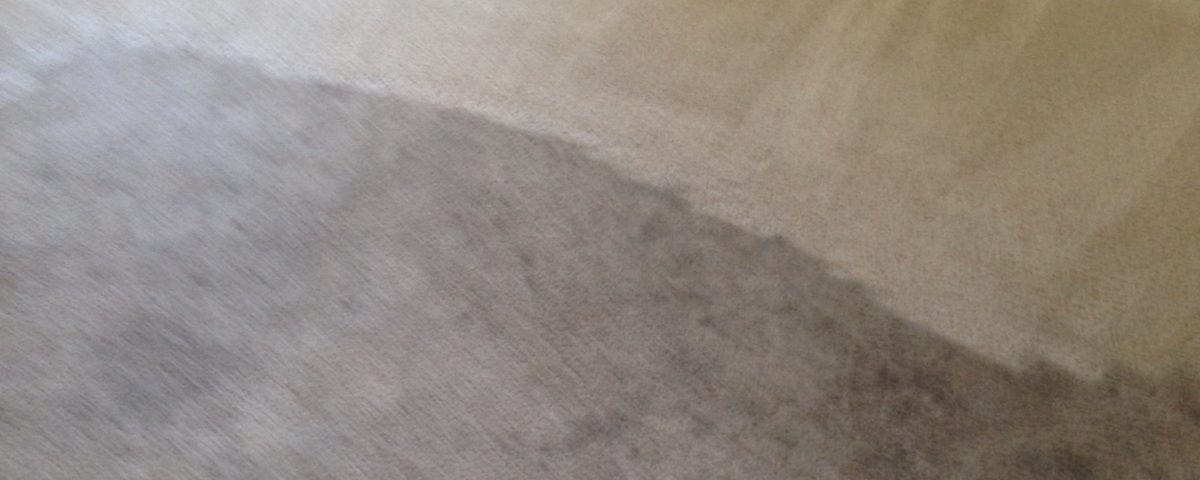 carpet cleaning service in Dana Point