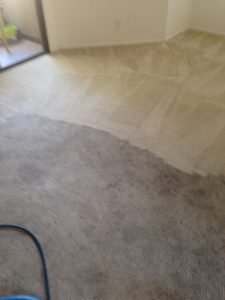 carpet cleaning service in Dana Point