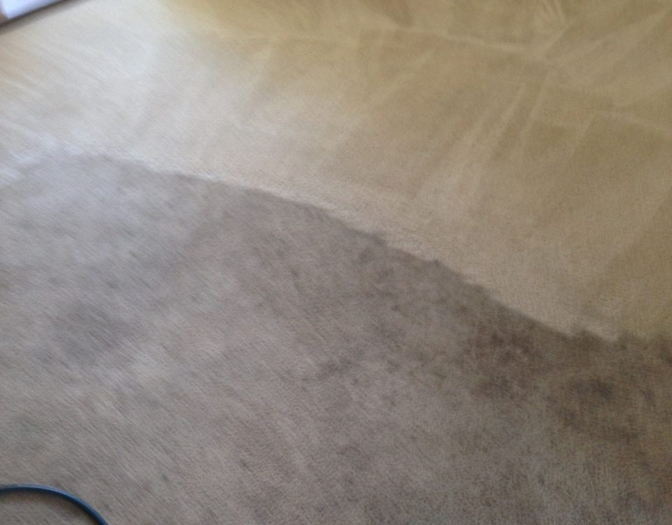 carpet cleaning service in Dana Point