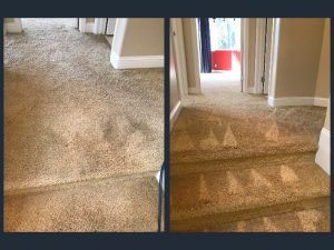 carpet cleaning in san clemente california
