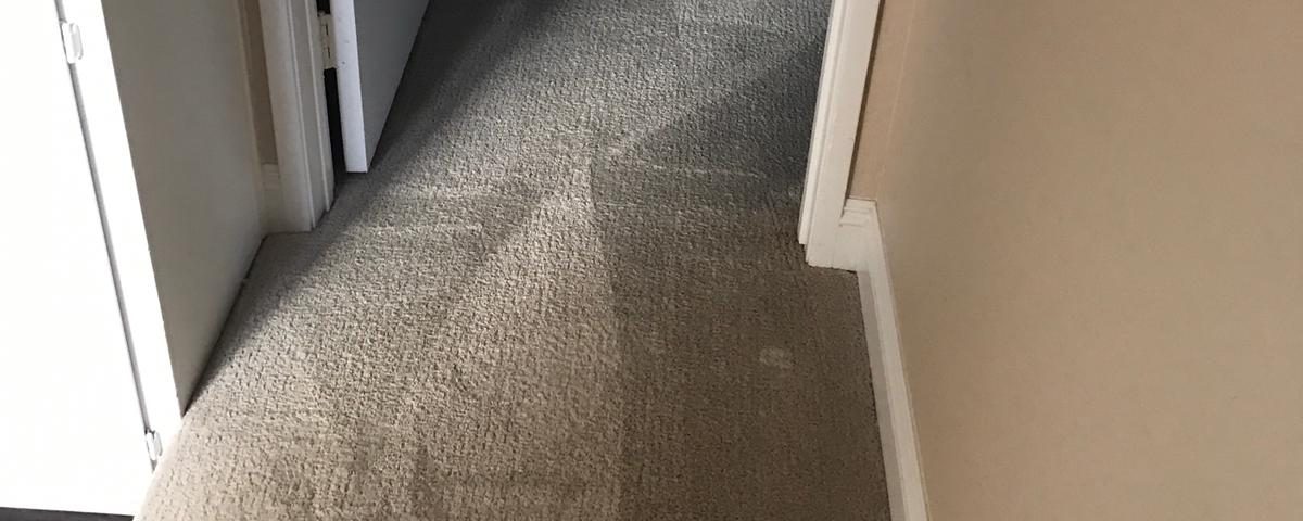 carpet cleaning in laguna hills california