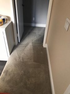 carpet cleaning in laguna hills california