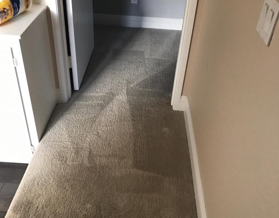 carpet cleaning in laguna hills california