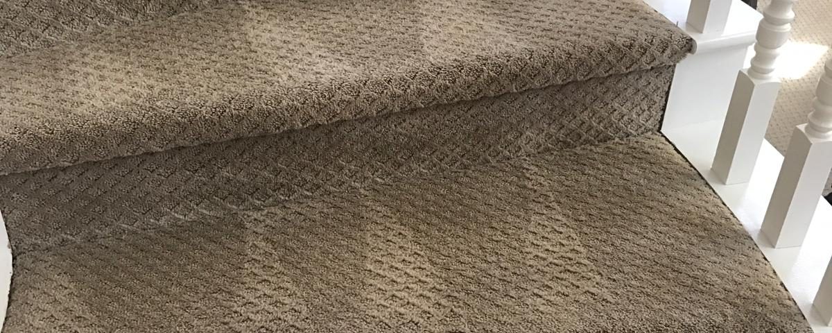 carpet cleaning in laguna niguel california