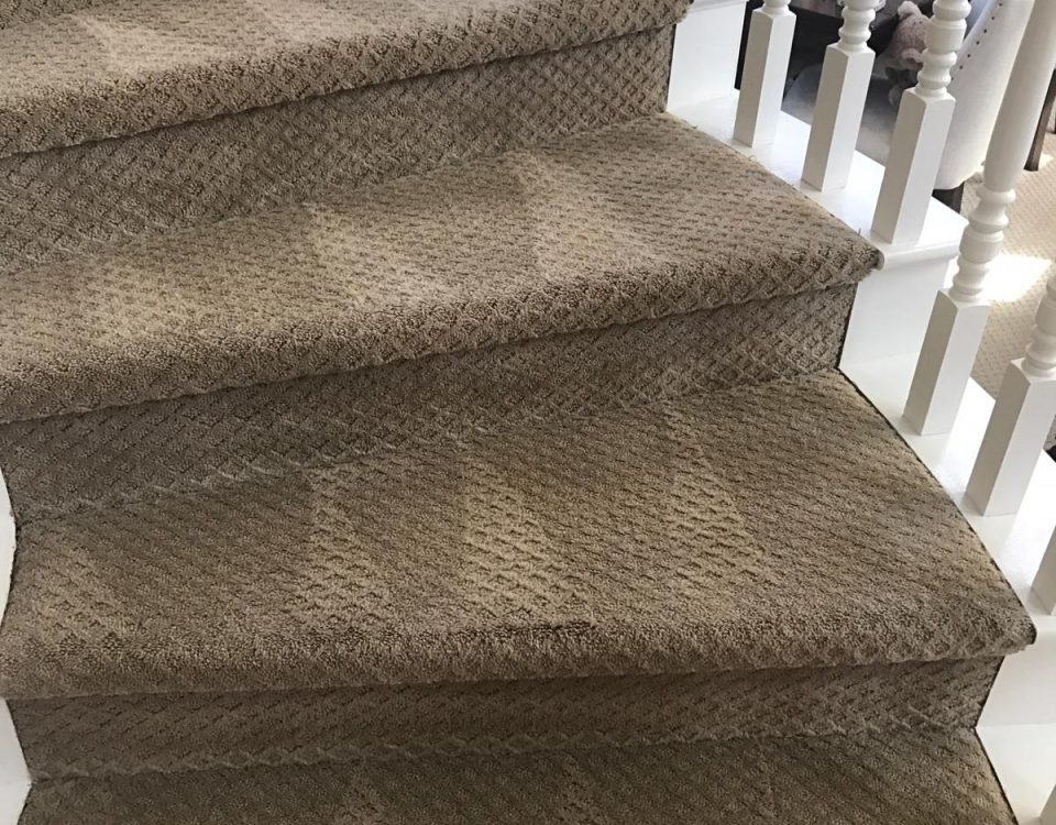 carpet cleaning in laguna niguel california