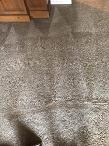 carpet cleaning in san juan capistrano california