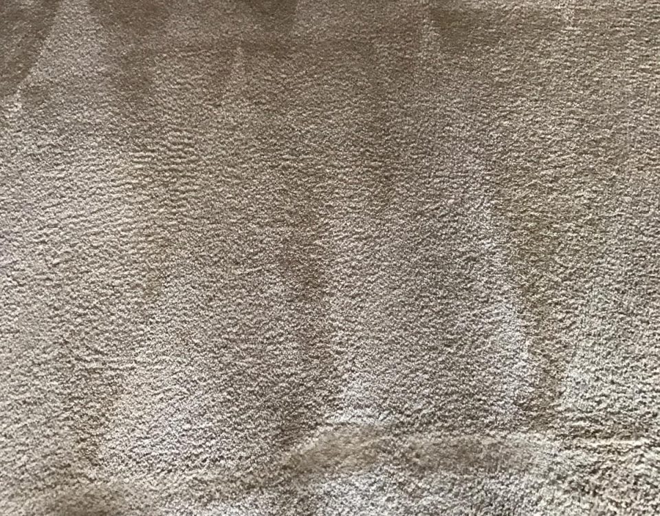 carpet cleaning in san juan capistrano california