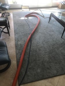 rug cleaning in orange county california