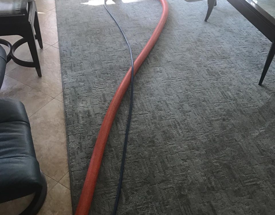 rug cleaning in orange county california
