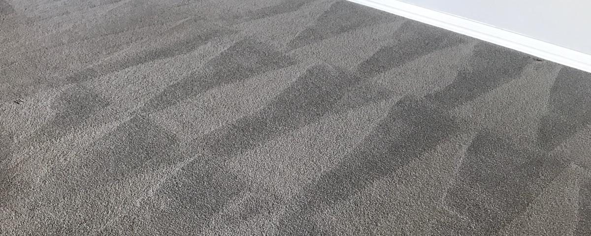 carpet cleaning service