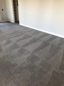 carpet cleaning service
