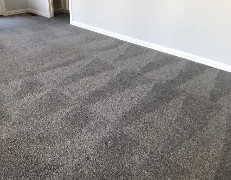 carpet cleaning service