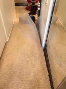 emergency water damage service