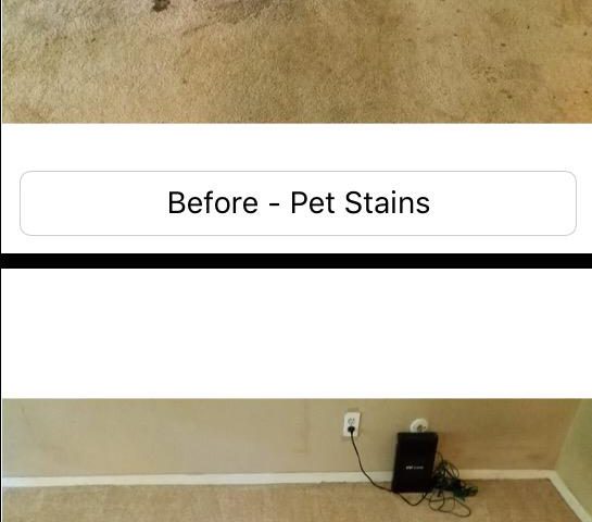 spring carpet cleaning