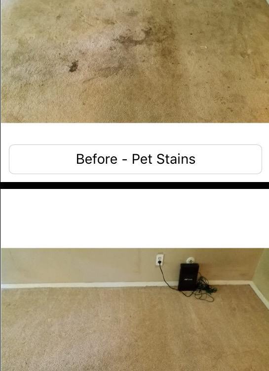 spring carpet cleaning
