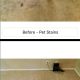 spring carpet cleaning