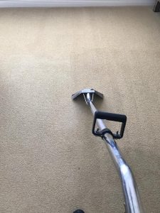 carpet cleaning in san juan capistrano